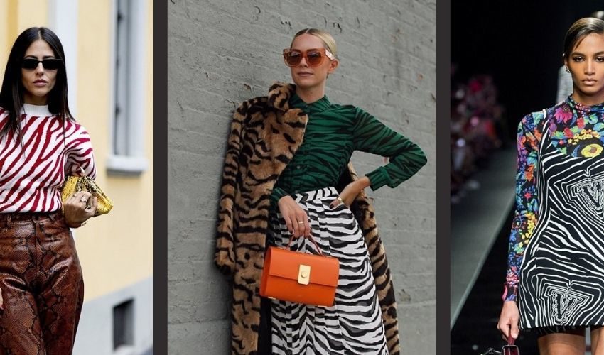 Zebra print: how you can wear and what to mix within the this year-this year season
